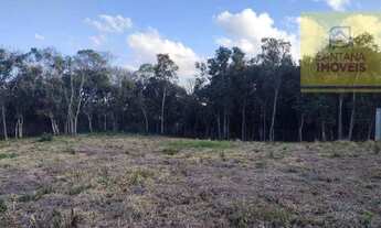 Imagem 5: Terreno à venda, 3000 m² por R$ 795.000,00 - Loteamento Ouro Verde I - Campo Largo/PR