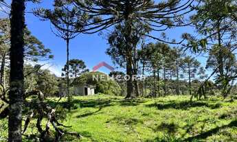 Imagem 3: Chácara em Estrada Josafaz - Contendas - São Francisco de Paula/RS