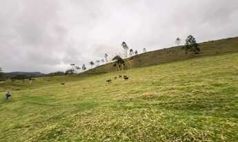 Imagem 5: A Maior fazenda disponível a venda no Espírito Santo - Oportunidade