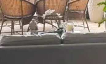 Imagem 4: Apartamento com 4 Quartos em Casa Caiada, Olinda