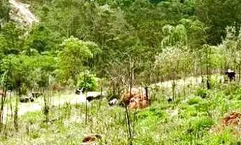 Imagem 6: O ESPAÇO PERFEITO PARA CONSTRUIR OU INVESTIR, EM UMA ÁREA CERCADA PELA NATUREZA! SAIBA MAI