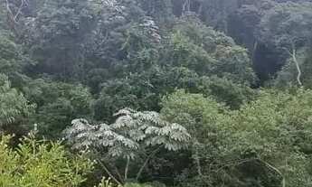 Imagem 2: TERRENO DE 24.000M2 POR 2.400.000R