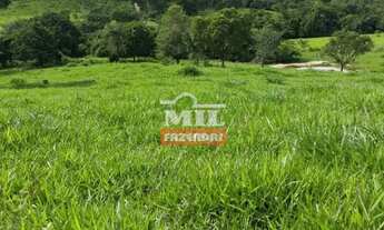 Imagem 2: Chácara 11 Alqueires (53,24 Hectares) Goias Velho - GO