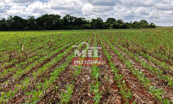 Imagem 5: Fazenda 75 alqueires (363 hectares) Acreuna - Go