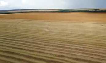 Imagem 4: Fazenda a venda em Nova Mutum - MT