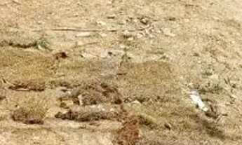 Imagem 4: TERRENO EM CONDOMÍNIO - BAIRRO ITAPEMA - SP