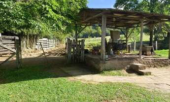 Imagem 2: Sítio Completo à Venda - 4 Hectares Escriturados em Taquara/RS