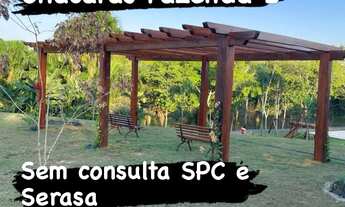 Imagem 4: Transferência de lotes na chácara da fazenda 2 lotes bem localizado