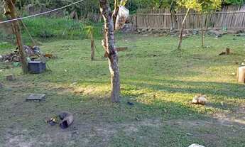 Imagem 7: Vende-se sitio no parque eldorado