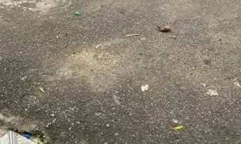 Imagem 7: Vende-se esta casa