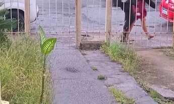 Imagem 5: Alugo direto com o proprietário