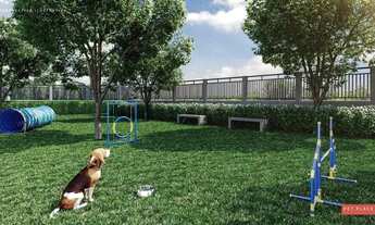 Imagem 7: Américas 19 - Américas 19