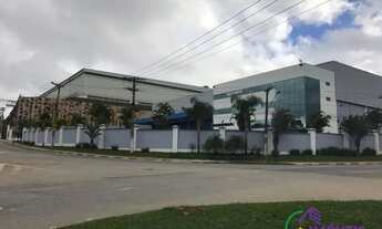 Imagem 3: GALPÃO - CIDADE ARACILIA - SP