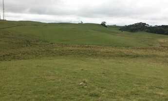 Imagem 2: Lote em São Francisco de Paula - Centro - São Francisco de Paula/RS