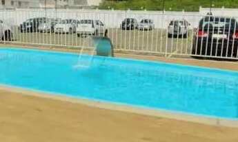 Imagem 2: Apartamento : Padrão / Residencial / Spina Ville II