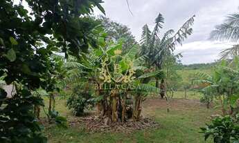 Imagem 4: Sitio com 56.000m² à venda por R$1.250.000,00 - Itatiquara - Morro Grande / Araruama