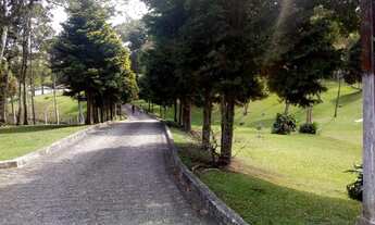 Imagem 6: Chácara para venda tem 36000 metros quadrados com 5 quartos em Jardim Amélia - Pinhais - P