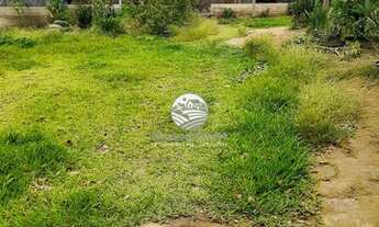 Imagem 2: Buritis - Sítio - 30 alqueires