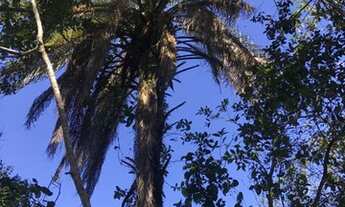 Imagem 4: Vendo ou troco terreno | Sítio