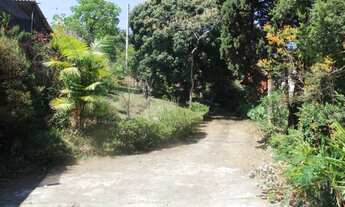 Imagem 5: NOVA LIMA - Casa Padrão - Ipê