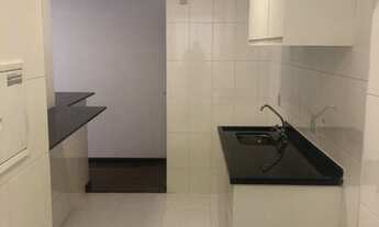 Imagem 7: PERDIZES - NOVO!