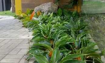 Imagem 6: Alugo Mobiliado Apto 02 Qto 02 Vgs Jerônimo Pimentel Próx. Wandenkolk ED. JP RESIDENCE - U