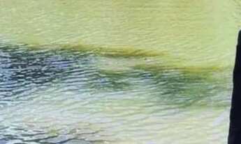 Imagem 6: Repasse de lote em Condomínio Fechado