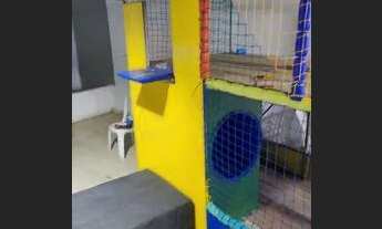 Imagem: 9 alugamos espaço para eventos e confraternizações