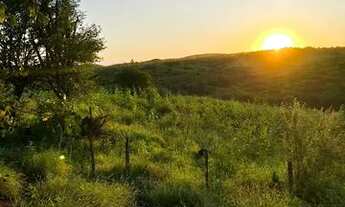 Imagem 2: Terreno em Pão de Açúcar / AL