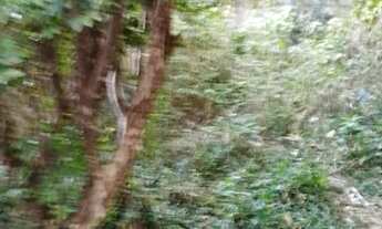 Imagem 5: CASA TÉRREA - LAPA - SP