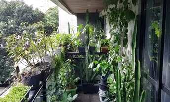 Imagem 4: Alugo ótimo e confortável apartamento