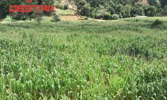 Imagem 4: Residencial - Cururu