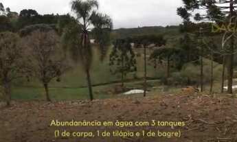 Imagem 5: CHACARA A VENDA EM CURITIBA 30KM REGIÃO METROPOLITÂNA