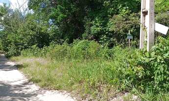 Imagem: Vendo terreno em alter do chao