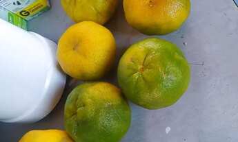 Imagem 2: Oportunidade de sair do aluguel