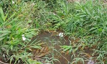 Imagem 3: MV20 - Terreno de chácara