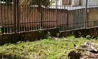 Imagem 3: Terreno para chácara no Tarumã