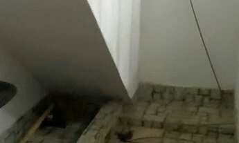 Imagem 6: Casa 2 quartos taquara