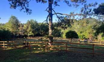 Imagem 3: Fazenda/Sítio/Chácara para venda possui 2000 metros quadrados em Morungava - Gravataí - RS