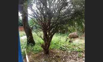 Imagem: Vendo ou troco casa no bairro bom sucesso