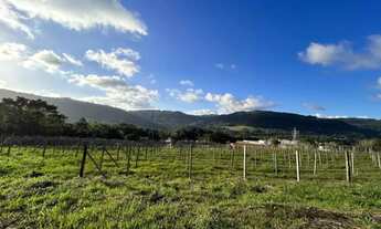 Imagem 6: Sitio - Bairro Tapera