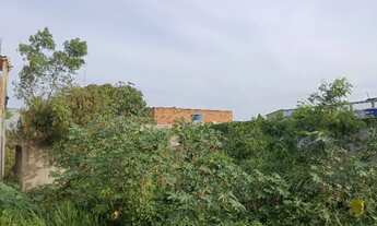 Imagem: Vendo terreno em cidade da barra