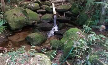 Imagem 2: Venda-se esta fazenda de 220 alqueires com fonte de Água Mineral em Venda Nova do Imigrant