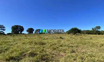 Imagem 6: FAZENDA À VENDA - 264 HECTARES - MONJOLOS (MG