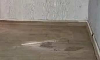 Imagem 7: Galpão para alugar, 390 m² por R$ 16.230/mês - Imirim - São Paulo/SP