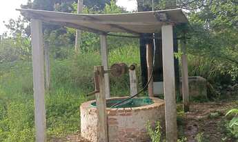 Imagem 3: Sítio para vender ( Povoado Baixa de Areia