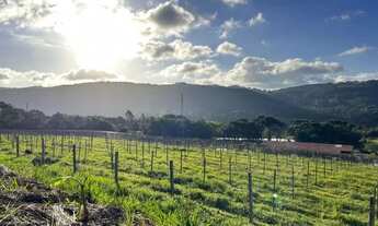 Imagem 5: Sitio - Bairro Tapera