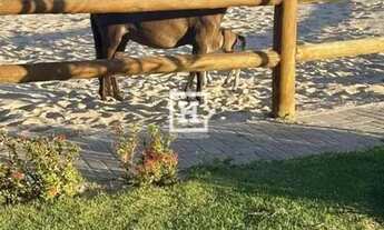 Imagem 2: Lote/Terreno à Venda