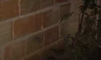 Imagem 5: Barracao agua e luz incluso