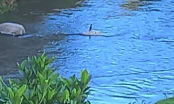 Imagem 5: Vendo Casa com 1 dormitório